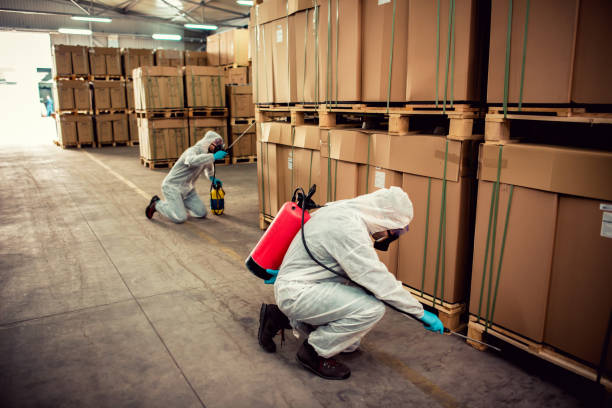 Best Residential Pest Control  in Ferndale, MI