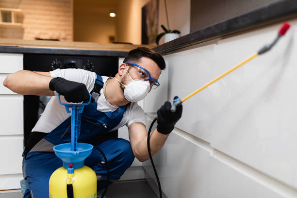 Trusted Ferndale, MI Pest Control Experts