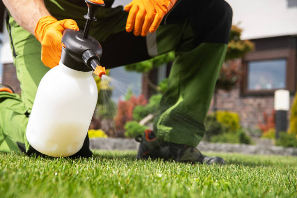 Best Ant Control Services  in Ferndale, MI