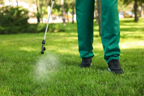 Best Pest Control for Businesses  in Ferndale, MI
