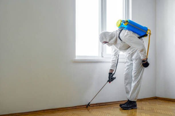 Best Pest Control Near Me in Ferndale, MI
