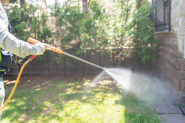 Best Flea Control Services  in Ferndale, MI