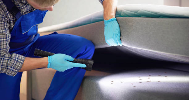 Best Wasp Removal Services  in Ferndale, MI