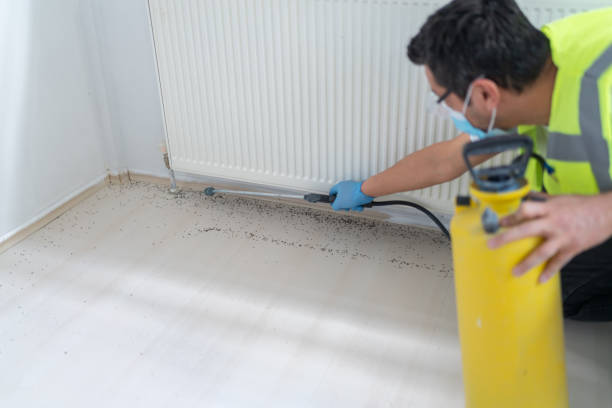Best Local Pest Control Services  in Ferndale, MI