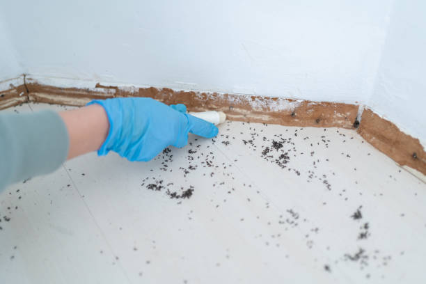 Best Wildlife Control Services  in Ferndale, MI