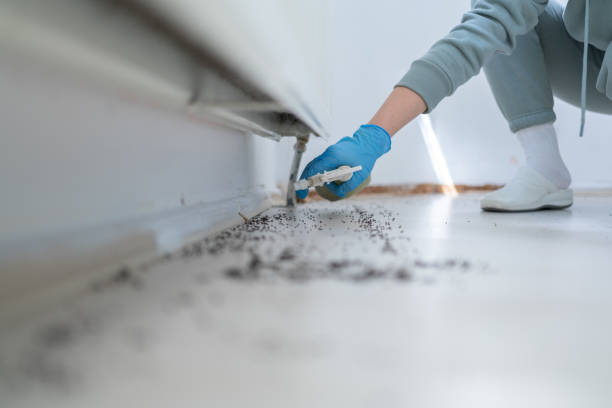 Best Ant Control Services  in Ferndale, MI